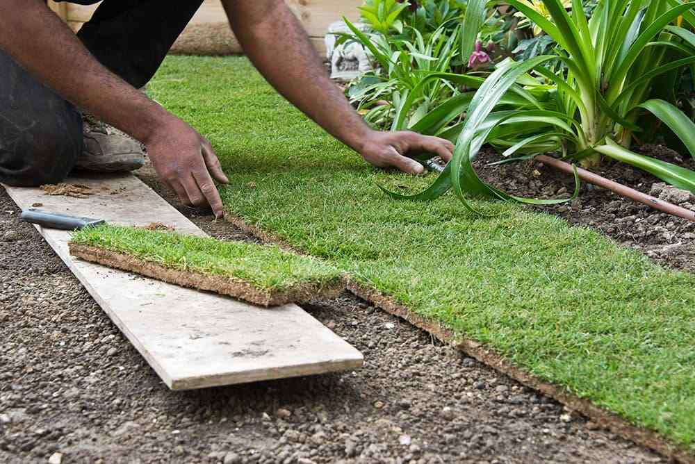 Entreprise paysagiste pour les espaces extérieurs et jardins intérieurs